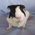 Photo of William
