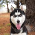 Photo of Storm