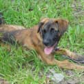 Photo of Shae