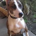 Photo of Lurch