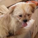 Photo of Skittles