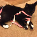 Photo of Reggie