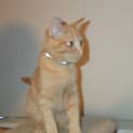 Photo of Rossi