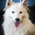 Photo of Nushka ~ #1501241