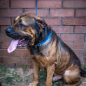 Photo of Jack ~ #1501325