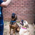Photo of Jack ~ #1501325