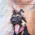 Photo of Izzie ~ #1501399