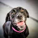 Photo of Mia ~ #1501400