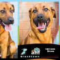 Photo of Bruce ~ #1501434