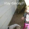 Photo of Darcey