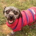 Photo of Poshy