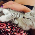 Photo of Norman
