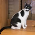 Photo of Mikala