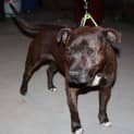 Photo of Jaxx