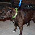Photo of Jaxx