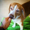 Photo of Sheila