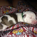 Photo of Meg