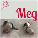 Photo of Meg