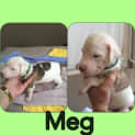 Photo of Meg