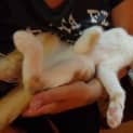 Photo of Freckle