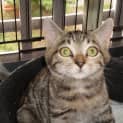Photo of Tabatha
