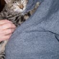 Photo of Tabatha