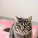 Photo of Nishka