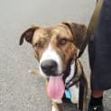 Photo of Cosmo
