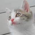 Photo of Keisha