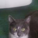 Photo of Little Miss Truffle