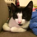 Photo of Cora (Located In Eltham)