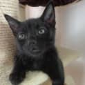 Photo of Tess