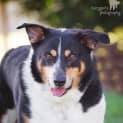 Photo of Tye