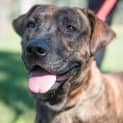 Photo of Butch ~ #1500258