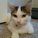 Photo of Amelie
