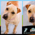 Photo of Willow ~ #1501739