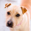 Photo of Willow ~ #1501739