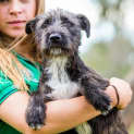 Photo of Harriet ~ #1501780