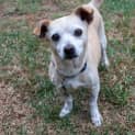 Photo of Duchess