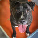 Photo of Jett ~ #1501678