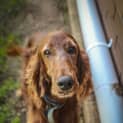 Photo of Dougy ~ #1501817