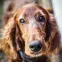 Photo of Dougy ~ #1501817