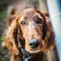 Photo of Dougy ~ #1501817