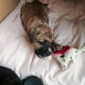 Photo of Ellie