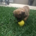 Photo of Ellie