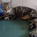 Photo of Lily