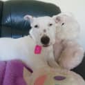 Photo of Mollie