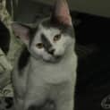 Photo of Candy
