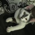 Photo of Candy
