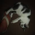 Photo of Candy